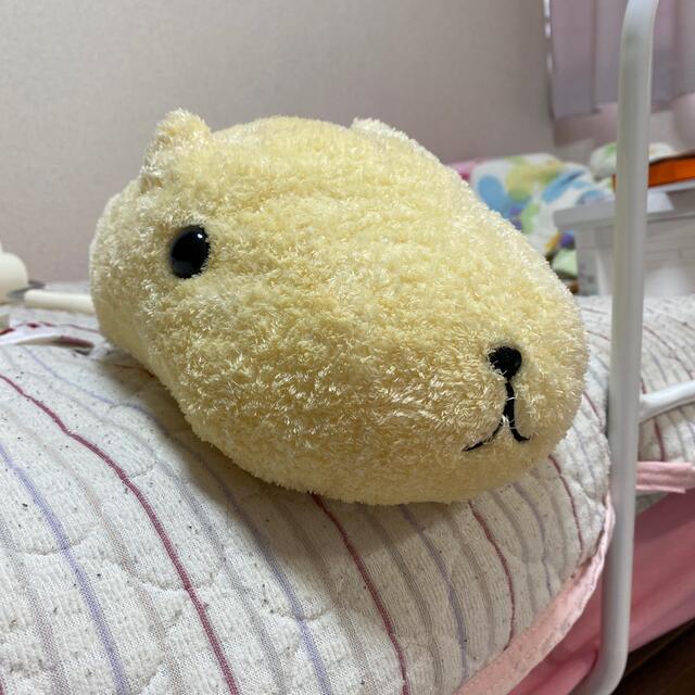 カピバラさん ぬいぐるみ エンタメ/ホビーのおもちゃ/ぬいぐるみ(ぬいぐるみ)の商品写真