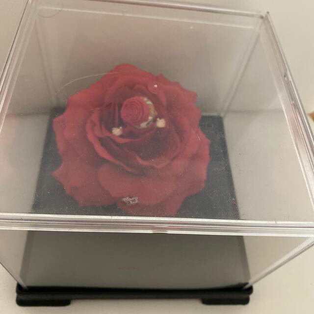 浜崎あゆみ 激レア 500個限定 赤薔薇 ayupanの通販 by 浜崎あゆみ 激レア 500個限定 赤薔薇 ayupanの通販 by