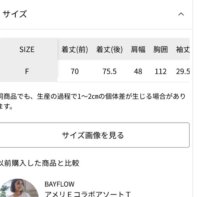 BAYFLOW(ベイフロー)の美品♡ベイフロー　アメリＥコラボアソートＴ レディースのトップス(Tシャツ(半袖/袖なし))の商品写真