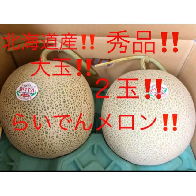 北海道産　秀品　らいでんメロン　大玉　２玉セット 食品/飲料/酒の食品(フルーツ)の商品写真