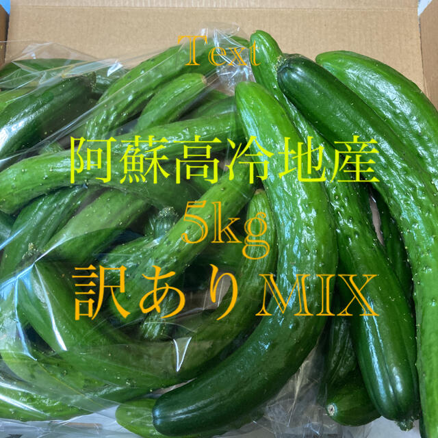 阿蘇のきゅうり　訳ありMIX 5kg 80サイズ８月7日発送 食品/飲料/酒の食品(野菜)の商品写真