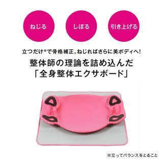 【美品】美バランス(エクササイズ用品)