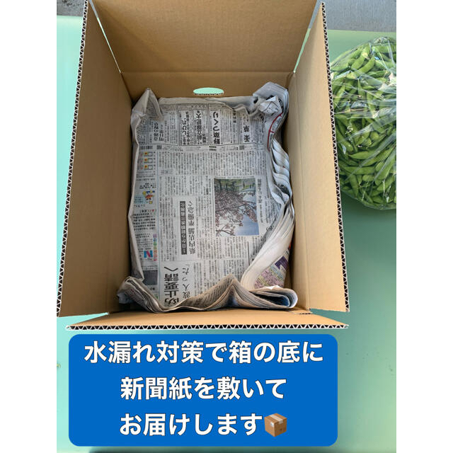 新潟県黒埼産 くろさき茶豆　A品2kg  B品4kg 食品/飲料/酒の食品(野菜)の商品写真