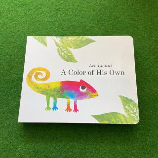 COLOR OF HIS OWN,A(BB)(洋書)