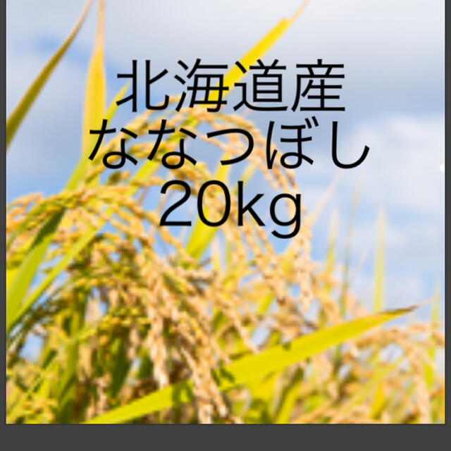 ななつぼし 食品/飲料/酒の食品(米/穀物)の商品写真