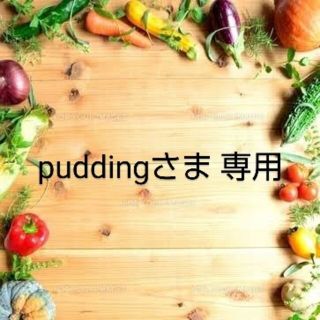 puddingさま 専用  乾燥野菜パウダー & ドライフルーツおまとめ(野菜)