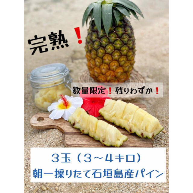 石垣島産 パイナップル ハワイ種 ジュワリーパイン 生産販売 3玉セットの通販 by カビラ農産|ラクマ 石垣島産 ジュワリーパイン
