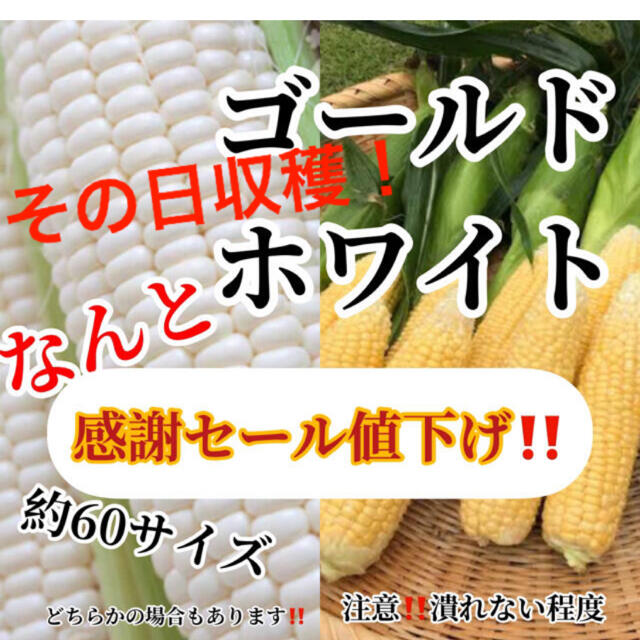 さりー様専用 食品/飲料/酒の食品(野菜)の商品写真