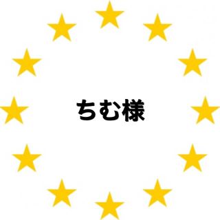 カワダ(Kawada)のちむ様　専用　アイロンビーズ(各種パーツ)