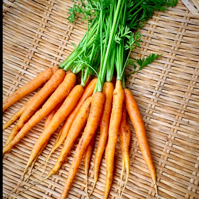 無農薬栽培　採れたて新鮮野菜　 食品/飲料/酒の食品(野菜)の商品写真