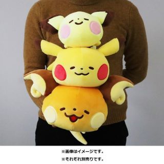 ポケモン オンライン ぬいぐるみの通販 300点以上 ポケモンのエンタメ ホビーを買うならラクマ