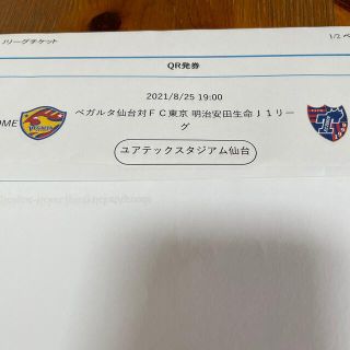 8月25日ベガルタ仙台対FC東京自由席南(サッカー)