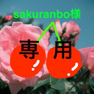 sakuranbo様専用★プログリーン 青汁300包(青汁/ケール加工食品)