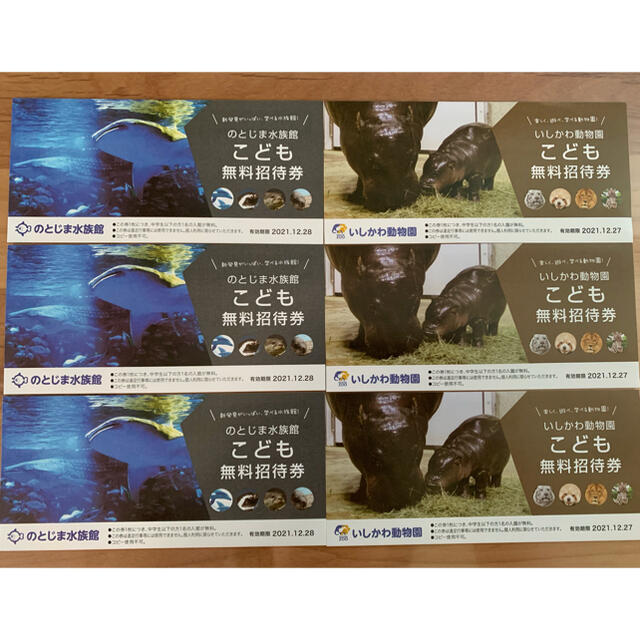 のとじま水族館 いしかわ動物園 無料券 のとじま水族館 招待券