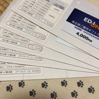 ②49000円分　エディオン　株主優待券(ショッピング)