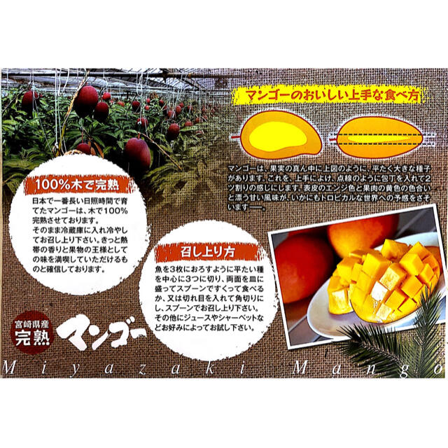 宮崎県産 完熟マンゴー バラ詰め 3.5kg 人気が高い www ... 宮崎県産 完熟マンゴー バラ詰め 3.5kg