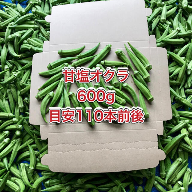 【鹿児島産】甘塩オクラ箱込み600g^_^ 食品/飲料/酒の食品(野菜)の商品写真