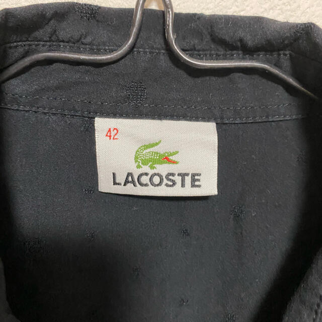 LACOSTE(ラコステ)のラコステ半袖シャツ レディースのトップス(シャツ/ブラウス(半袖/袖なし))の商品写真