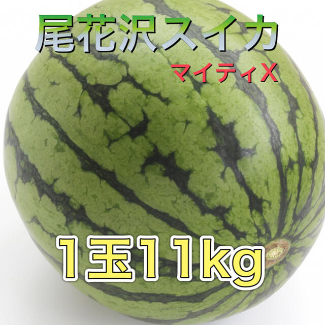 72702 尾花沢スイカ マイティX 1玉11kg 訳あり 西瓜 大玉 食品/飲料/酒の食品(フルーツ)の商品写真