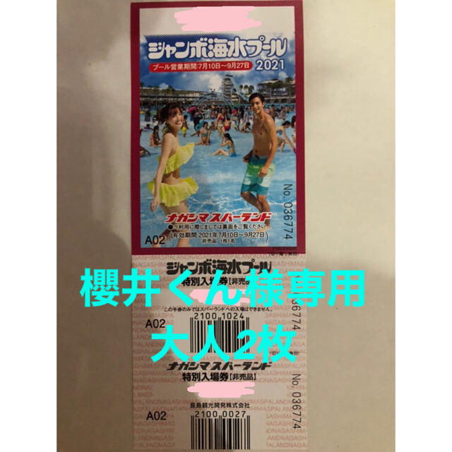 長島ジャンボ海水プール　大人2枚　専用