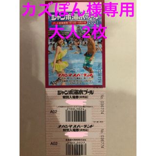 長島ジャンボ海水プール　大人2枚 専用(プール)