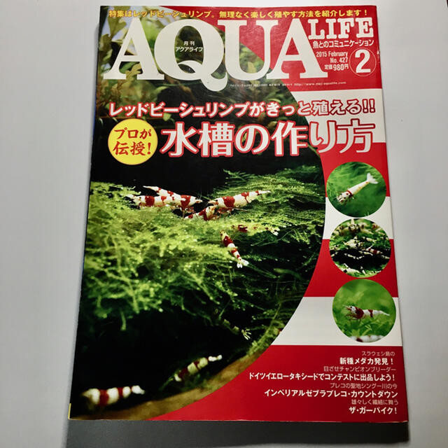 月刊アクアライフ（AQUA LIFE）2015年2月号　No.427号　送料込み その他のペット用品(アクアリウム)の商品写真