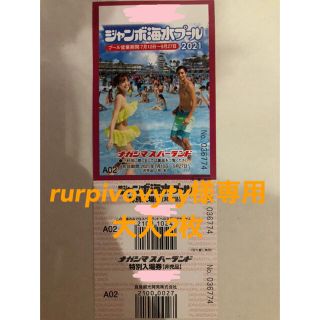 長島ジャンボ海水プール　大人2枚 専用(プール)