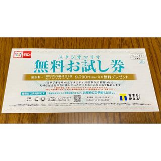 スタジオマリオ撮影無料　お試し券(その他)