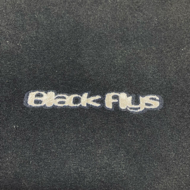 BLACK FLYS(ブラックフライズ)のBlack Flys アメリカ製 ビンテージ シルバー ロゴ Tシャツ M 黒 メンズのトップス(Tシャツ/カットソー(半袖/袖なし))の商品写真