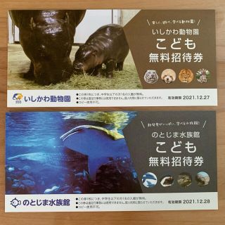 いしかわ動物園　のとじま水族館　無料券(水族館)