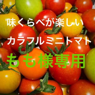 もも様専用❤︎ミニトマトカラフルMIX2キロ(野菜)