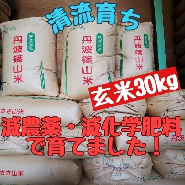 米/穀物　兵庫県丹波篠山米　ショッピング純正　玄米30kg(減農薬,減化学肥料栽培)　清流育ち　LITTLEHEROESDENTISTRY