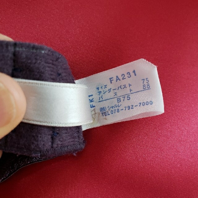 シャルレ　ブラジャー　B75 レディースの下着/アンダーウェア(ブラ)の商品写真