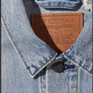 リーバイス(Levi's)の今週まで出品❗️即完品　リーバイス × グレイトフル・デッド　ジャケット(Gジャン/デニムジャケット)