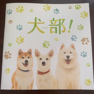 カドカワショテン(角川書店)の犬部！　パンフレット(印刷物)