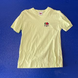 ザラ(ZARA)のZARA フルーツオブザルーム　Tシャツ　S(Tシャツ(半袖/袖なし))