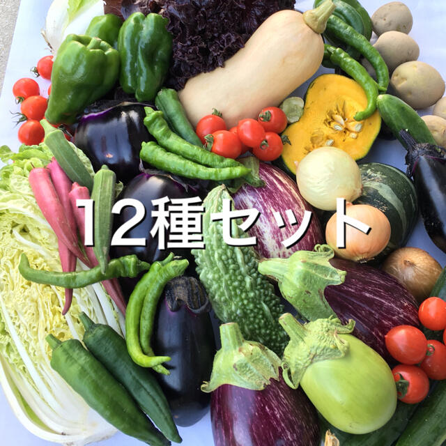 野菜BOX  Lサイズ 食品/飲料/酒の食品(野菜)の商品写真