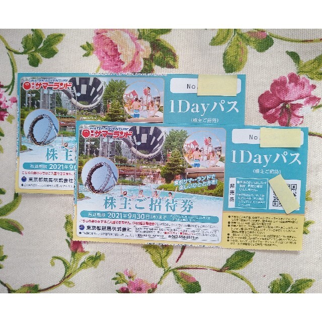 東京サマーランド １Dayパス２枚(株主優待)