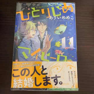 ひとりじめマイヒーロー １１(ボーイズラブ(BL))