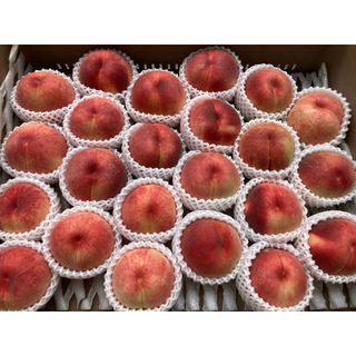 山形県産 減農薬栽培 桃 ご家庭用 2キロ以上(フルーツ)