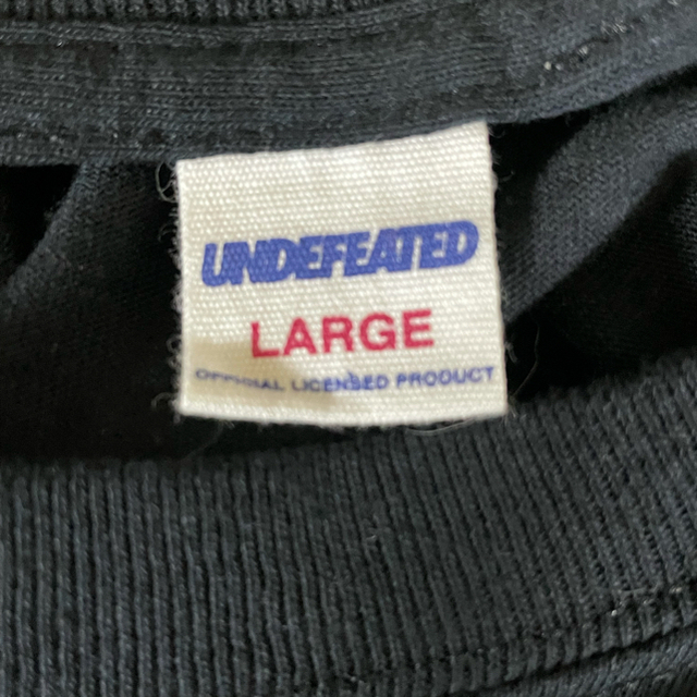 UNDEFEATED(アンディフィーテッド)の《即決価格》UNDEFEATED 浮世絵tシャツ2枚セット メンズのトップス(Tシャツ/カットソー(半袖/袖なし))の商品写真