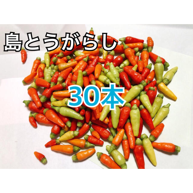 沖縄県産　島とうがらし　30本 食品/飲料/酒の食品(野菜)の商品写真