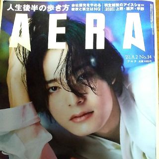 アサヒシンブンシュッパン(朝日新聞出版)のAERA (アエラ) 2021年 8/2号(ビジネス/経済/投資)