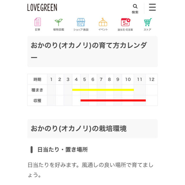 自然農無農薬おかのりの種150粒以上✨ 食品/飲料/酒の食品(野菜)の商品写真