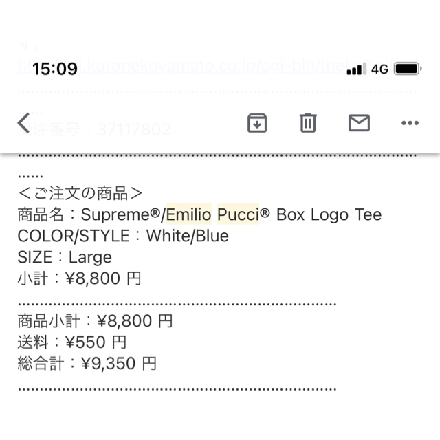 supreme Emilio Pucci L box logo