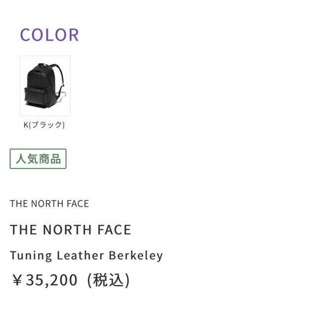 THE NORTH FACE(ザノースフェイス)の【新品】THE NORTH FACE バックパック リュックサック メンズのバッグ(バッグパック/リュック)の商品写真