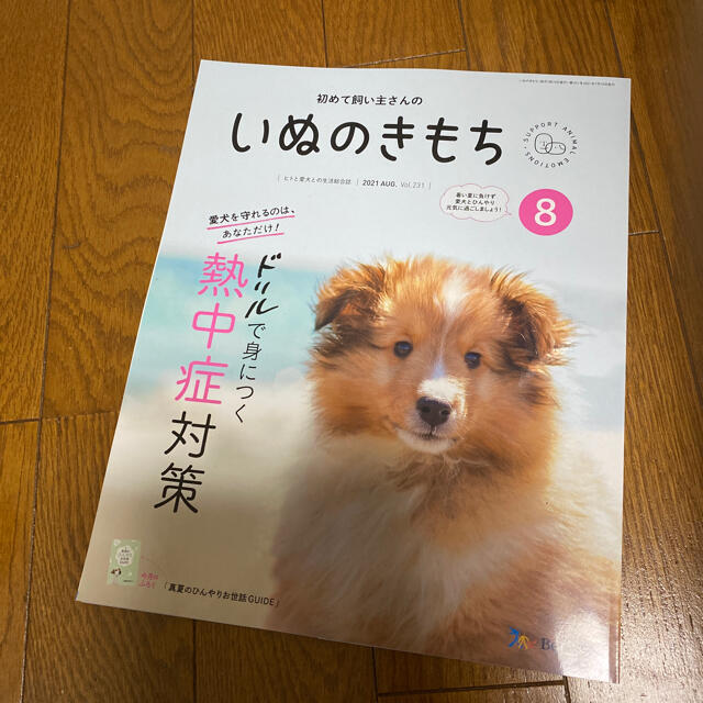 いぬのきもち エンタメ/ホビーの雑誌(専門誌)の商品写真