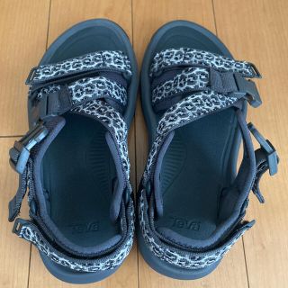 テバ(Teva)のテバ サンダル ヒョウ柄 ２４cm(サンダル)