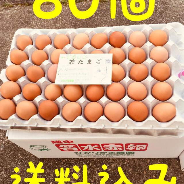 80個　若たまご　卵掛けご飯　生2週間　加熱1ヶ月　北海道*沖縄追加送料 食品/飲料/酒の食品(野菜)の商品写真