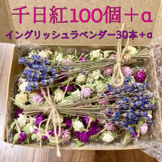 千日紅100個＋α【若干茎付き・葉付き】イングリッシュラベンダー30本＋α(ドライフラワー)